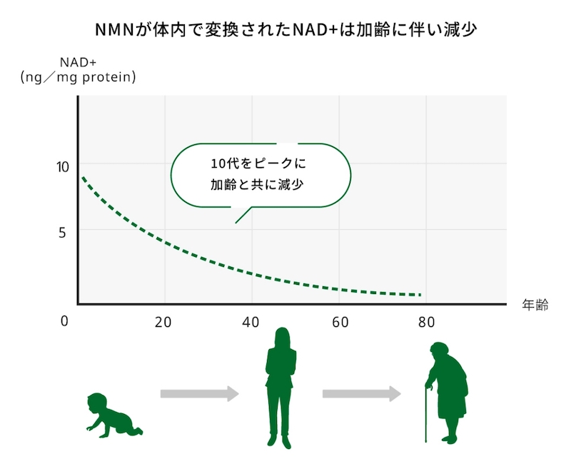 NMNの効果